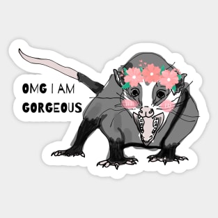 This Possum is GORGEOUS. Sticker